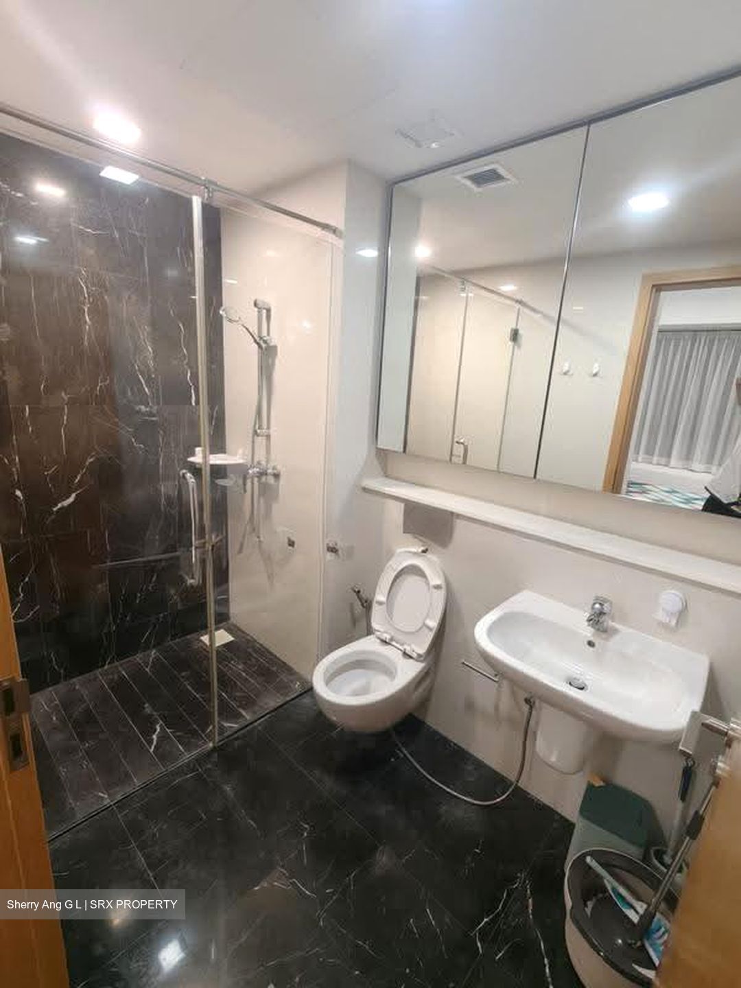 8@Woodleigh (D13), Condominium #637332351